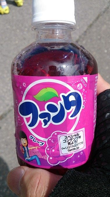 イメージ 13
