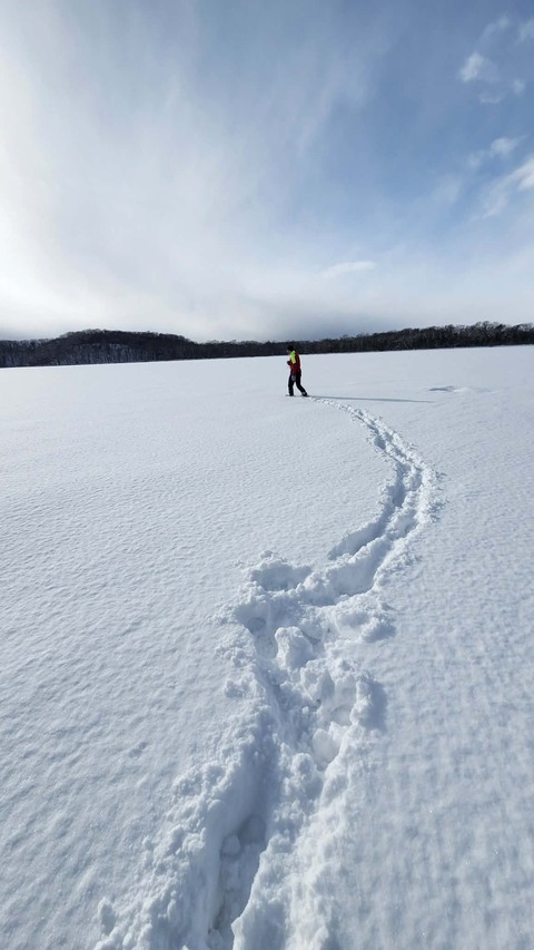 5196d589-4476-4d25-9df1-a72c037dd78d