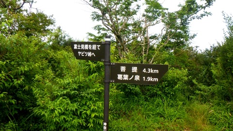 RIMG7084