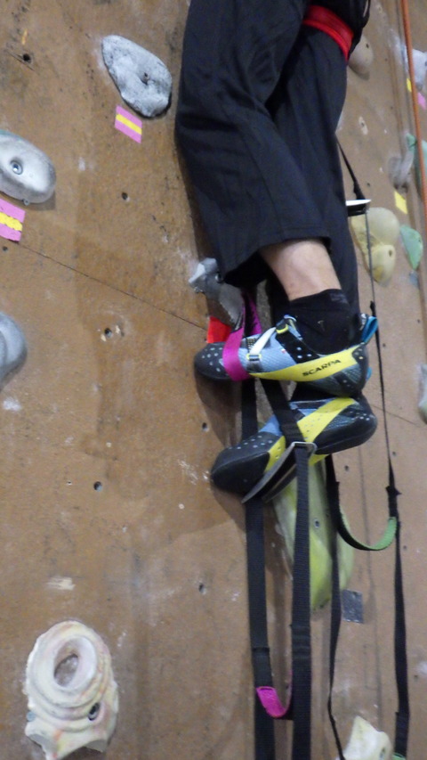 RIMG5313