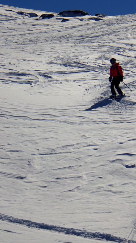 RIMG0903