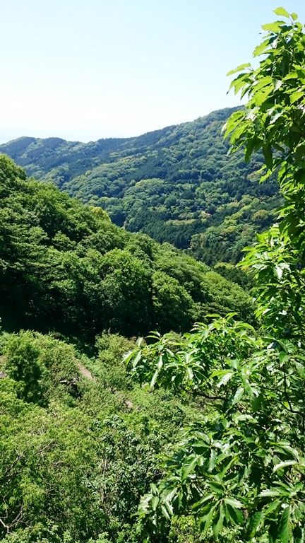 イメージ 14