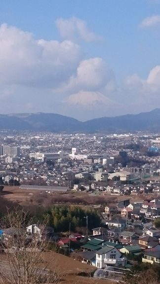 イメージ 14