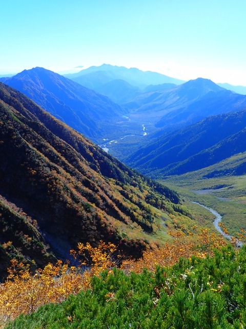 PA100116