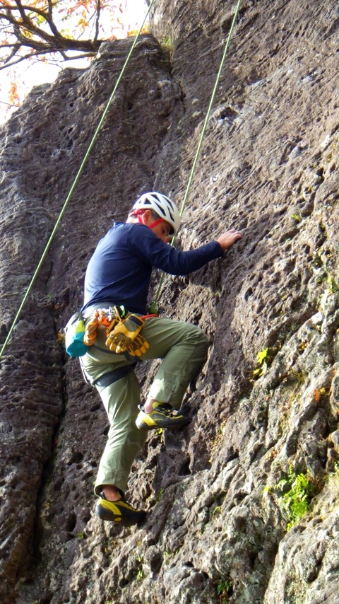 RIMG0294