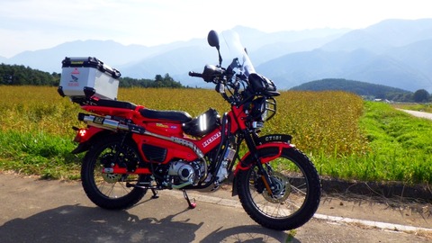 RIMG9548