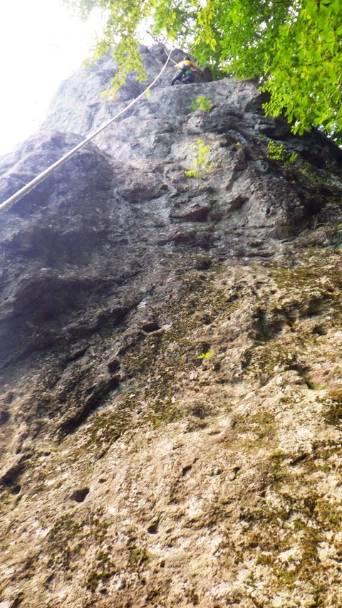 batch_RIMG0677