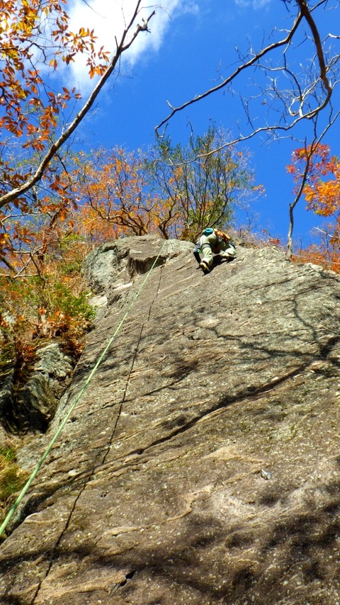 RIMG0255
