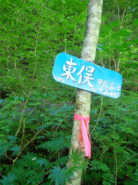 P8060094