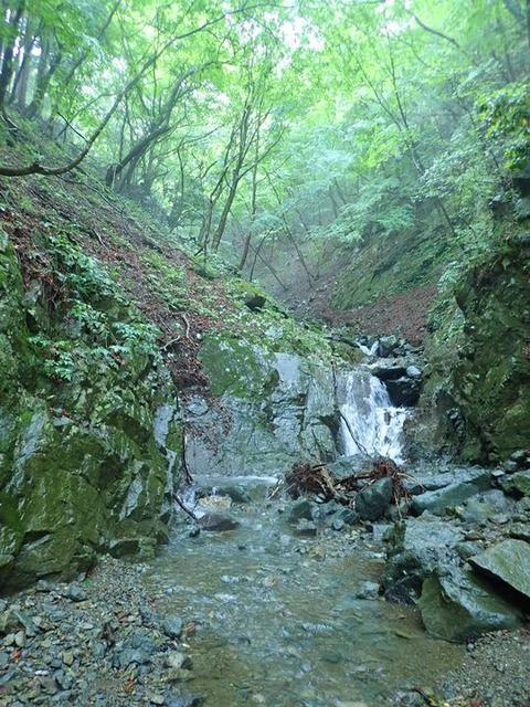 P6090091