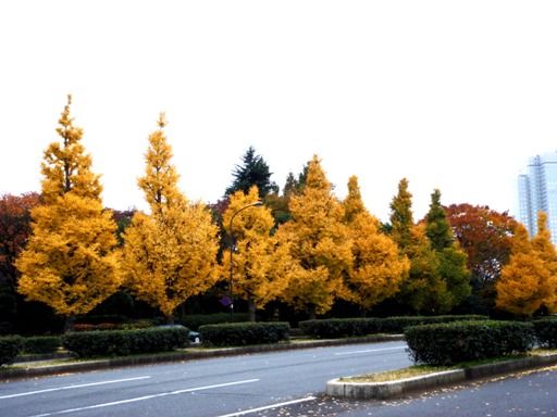 https://livedoor.blogimg.jp/js1ktr/imgs/1/e/1e806f67.jpg