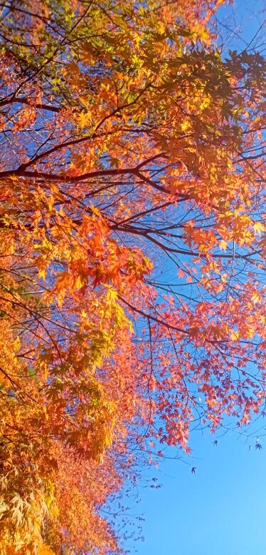 batch_IMG_20251207_132855