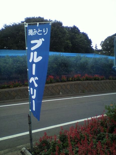イメージ 9