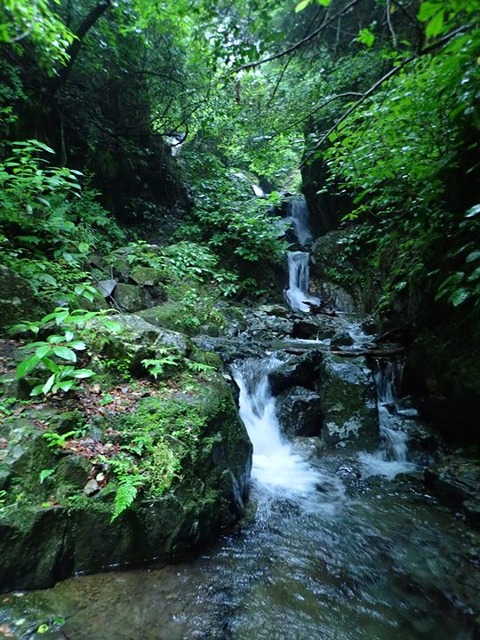P7010032
