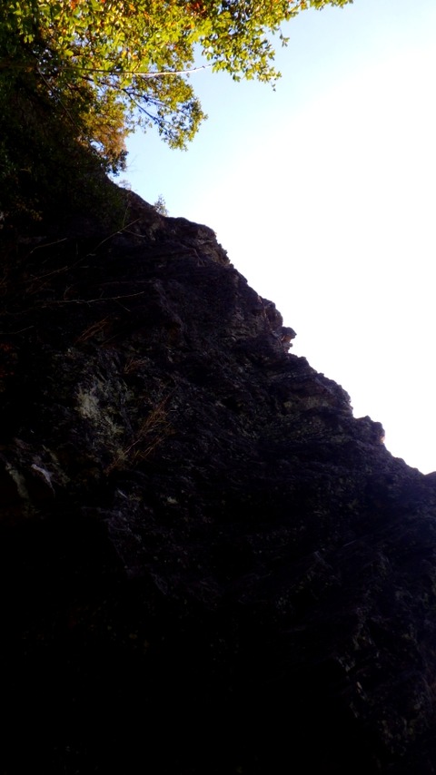 RIMG0781