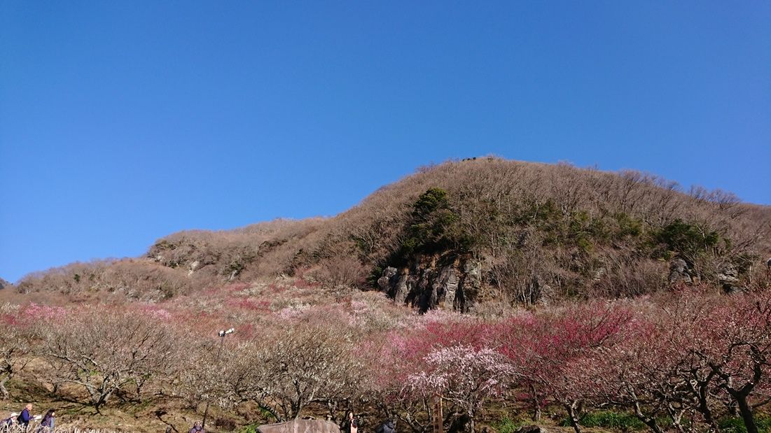 イメージ 2