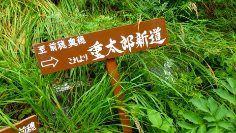 batch_RIMG0957