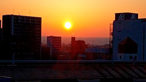 DSC_0576