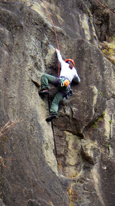 RIMG9516
