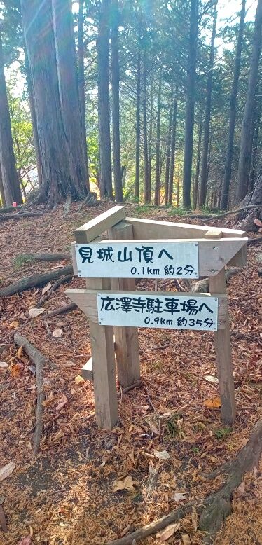batch_IMG_20251209_125543