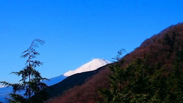 イメージ 7