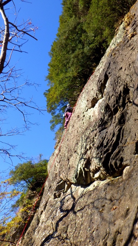 RIMG1474