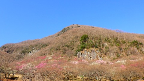 RIMG0975