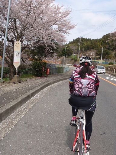 イメージ 2