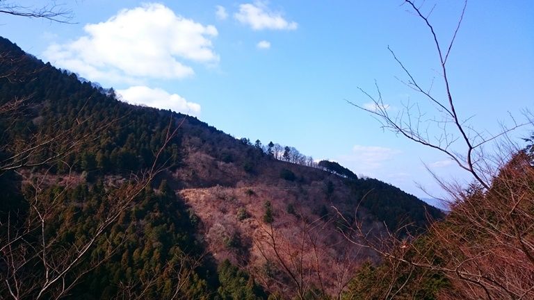 イメージ 29
