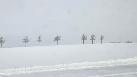 14a7da20-a0bb-4b87-9a0e-1b1849751093