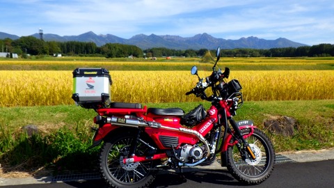 RIMG9541
