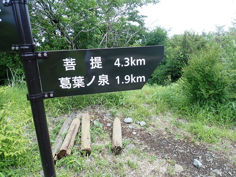 イメージ 40