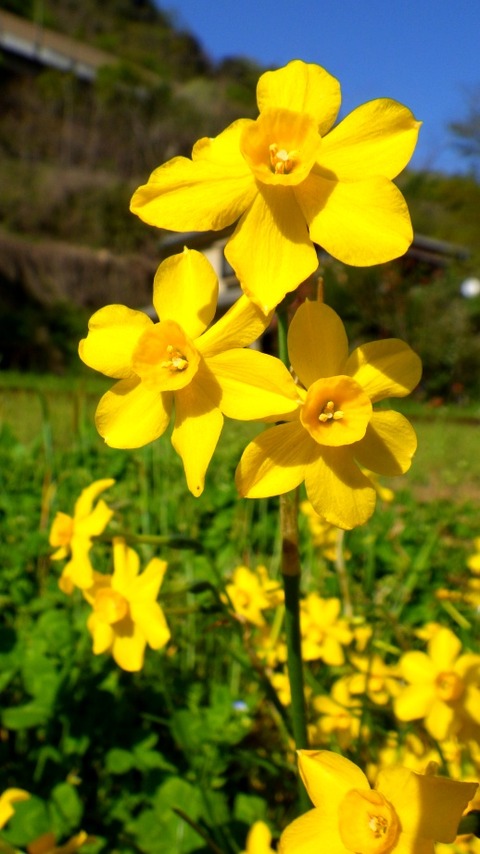 batch_RIMG6664