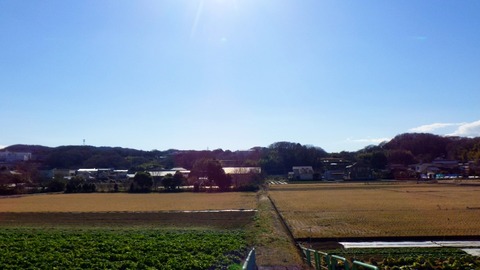 RIMG2718