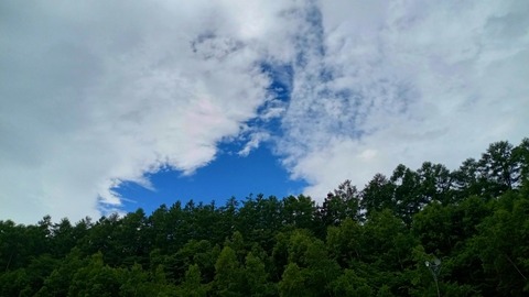 DSC_0636