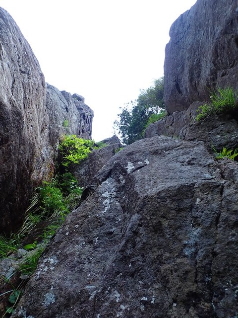 P6210049