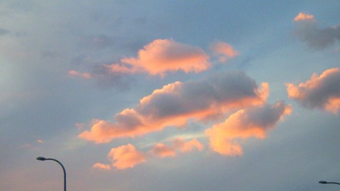 batch_RIMG0458