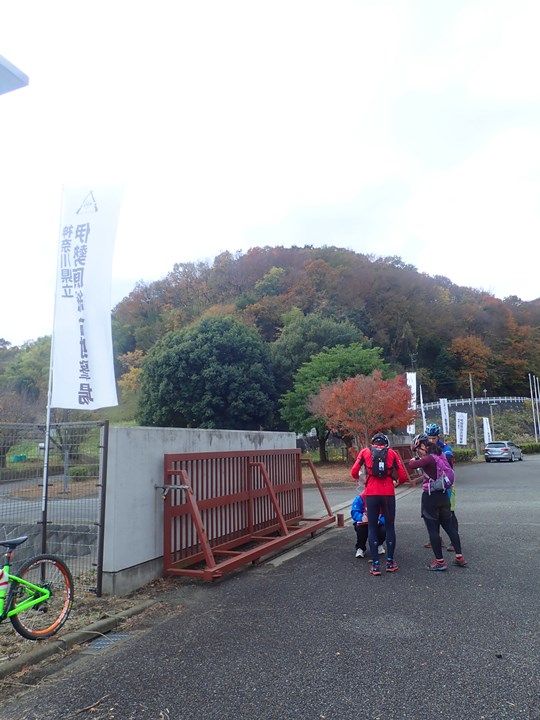 イメージ 10