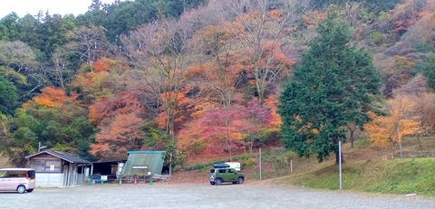 IMG_20231207_135226