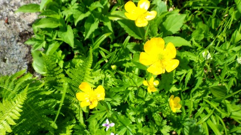 batch_RIMG8169