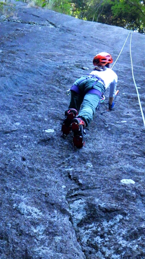RIMG8489