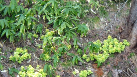 batch_RIMG5732