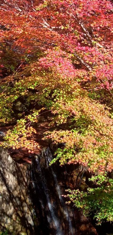 batch_IMG_20251207_130808