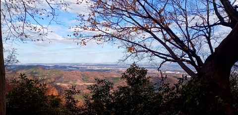 batch_IMG_20251209_125721