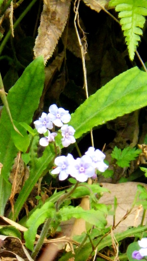 batch_RIMG6724