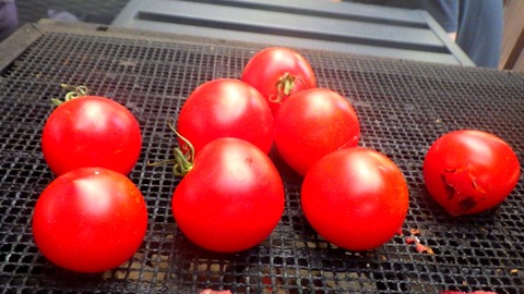 batch_RIMG9640