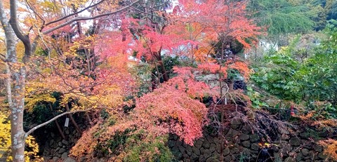 batch_IMG_20251209_133803