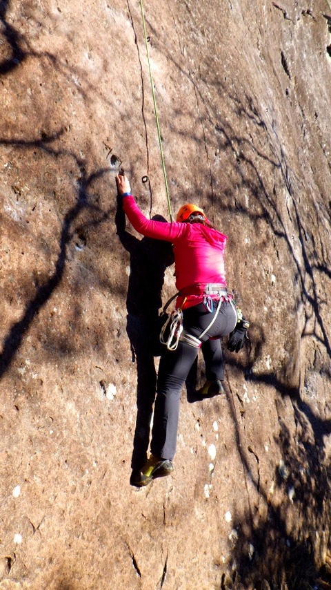 RIMG0536