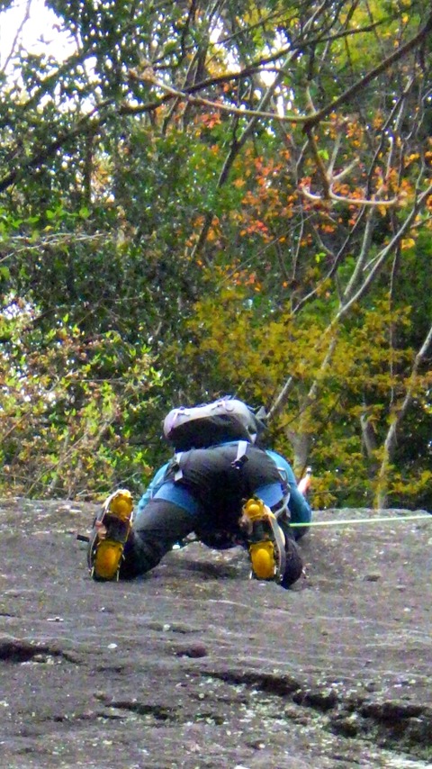RIMG9768