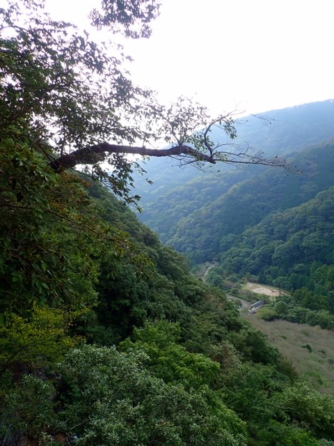 PA310002